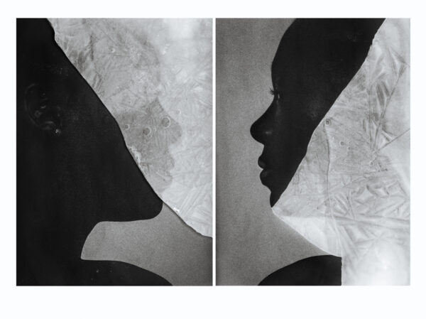 diptych reveal me