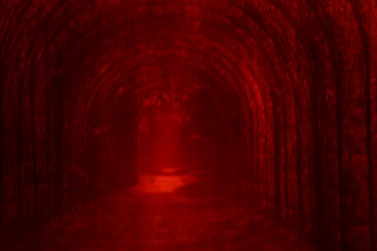 Hide Park