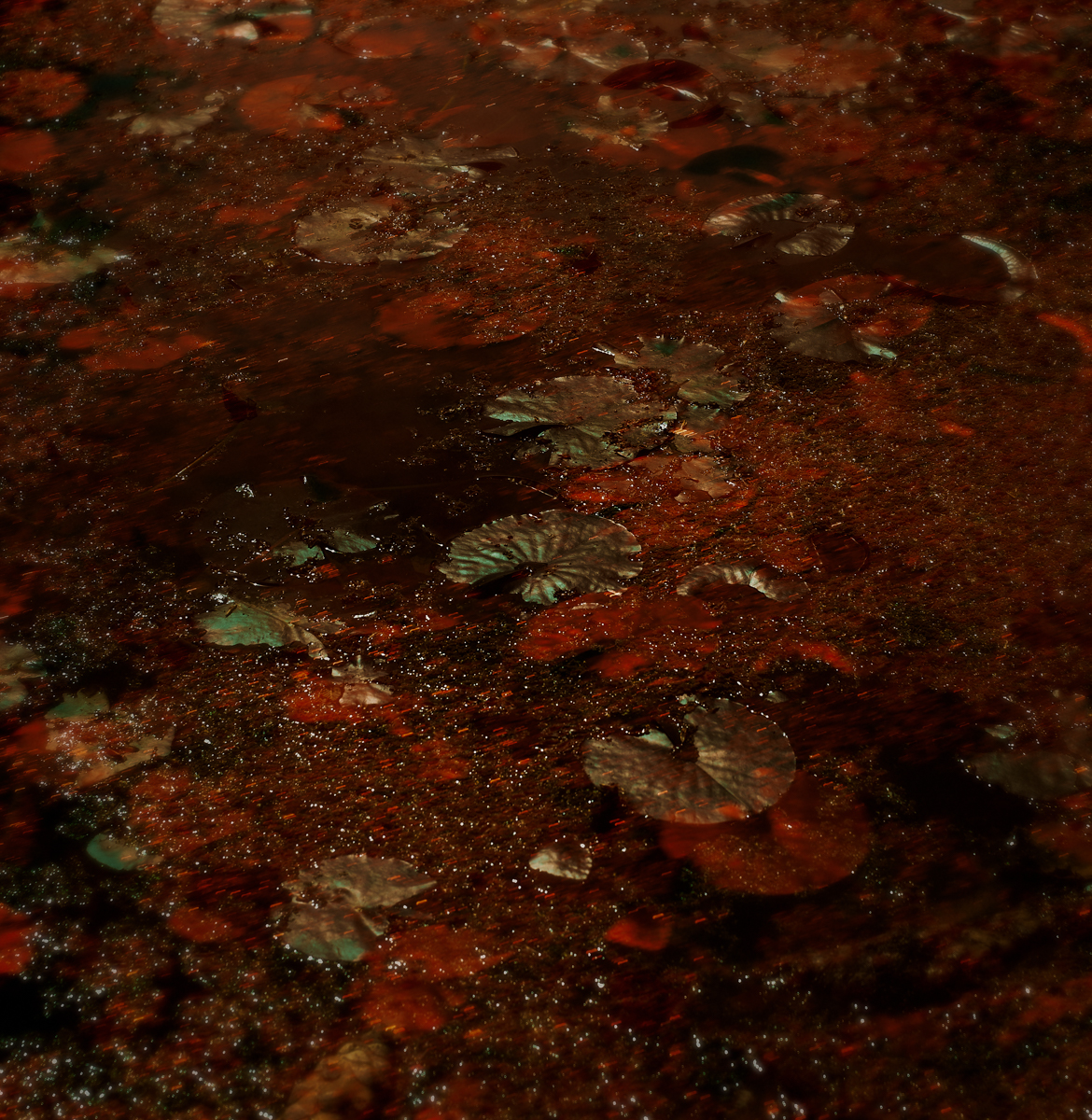 Green in Red